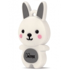 USB  4GB Mirex RABBIT GREY (ecopack)